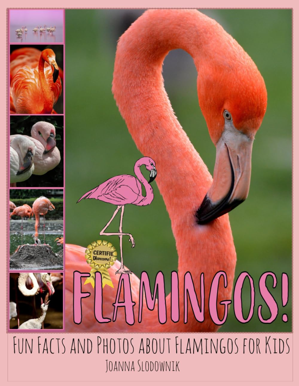 Flamingos! Fun Facts and Photos about Flamingos for Kids (Bird Books for Kids) - 3363