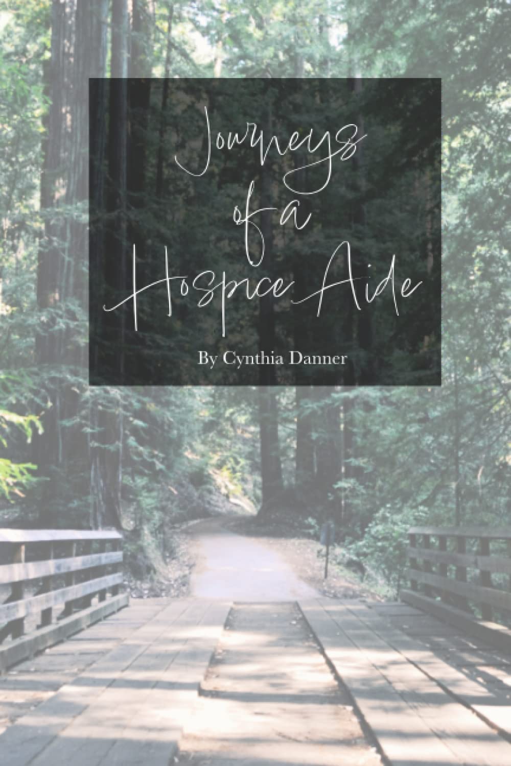 Journeys of a Hospice Aide