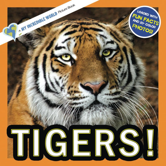 Tigers!: A My Incredible World Picture Book for Children (My Incredible World: Nature and Animal Picture Books for Children) - 908