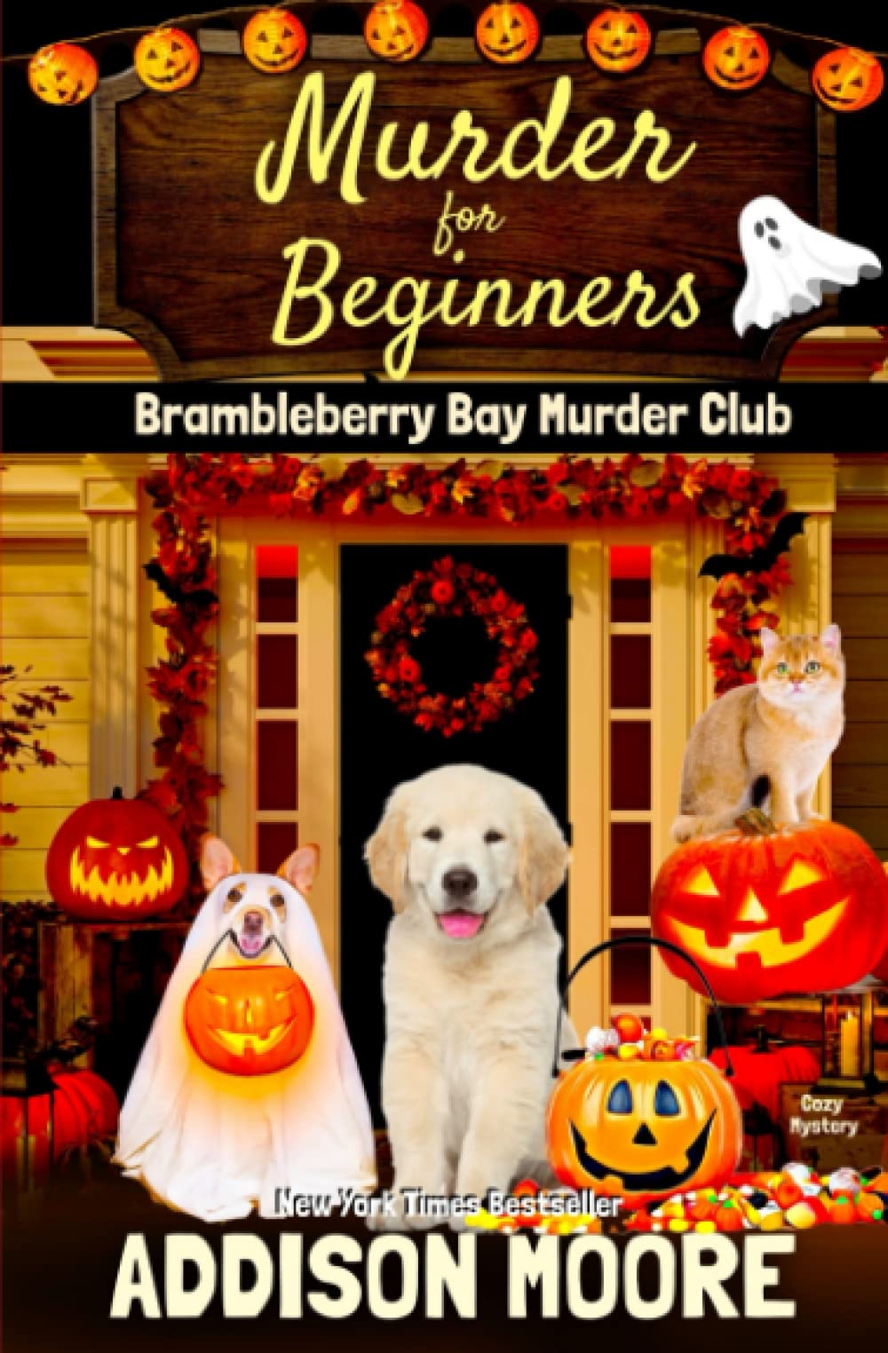 Murder for Beginners (Brambleberry Bay Murder Club)