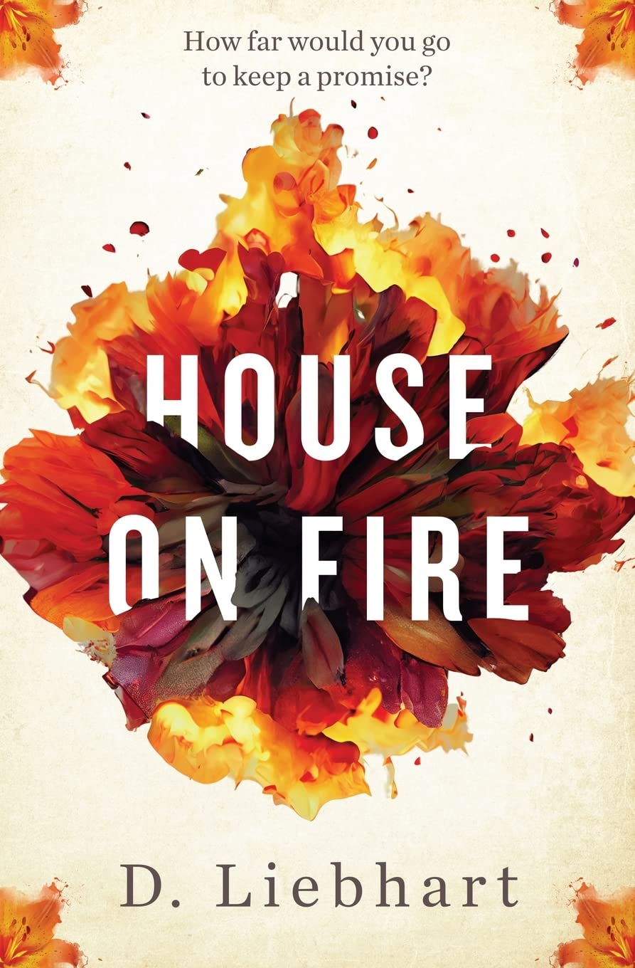 House on Fire - 8229