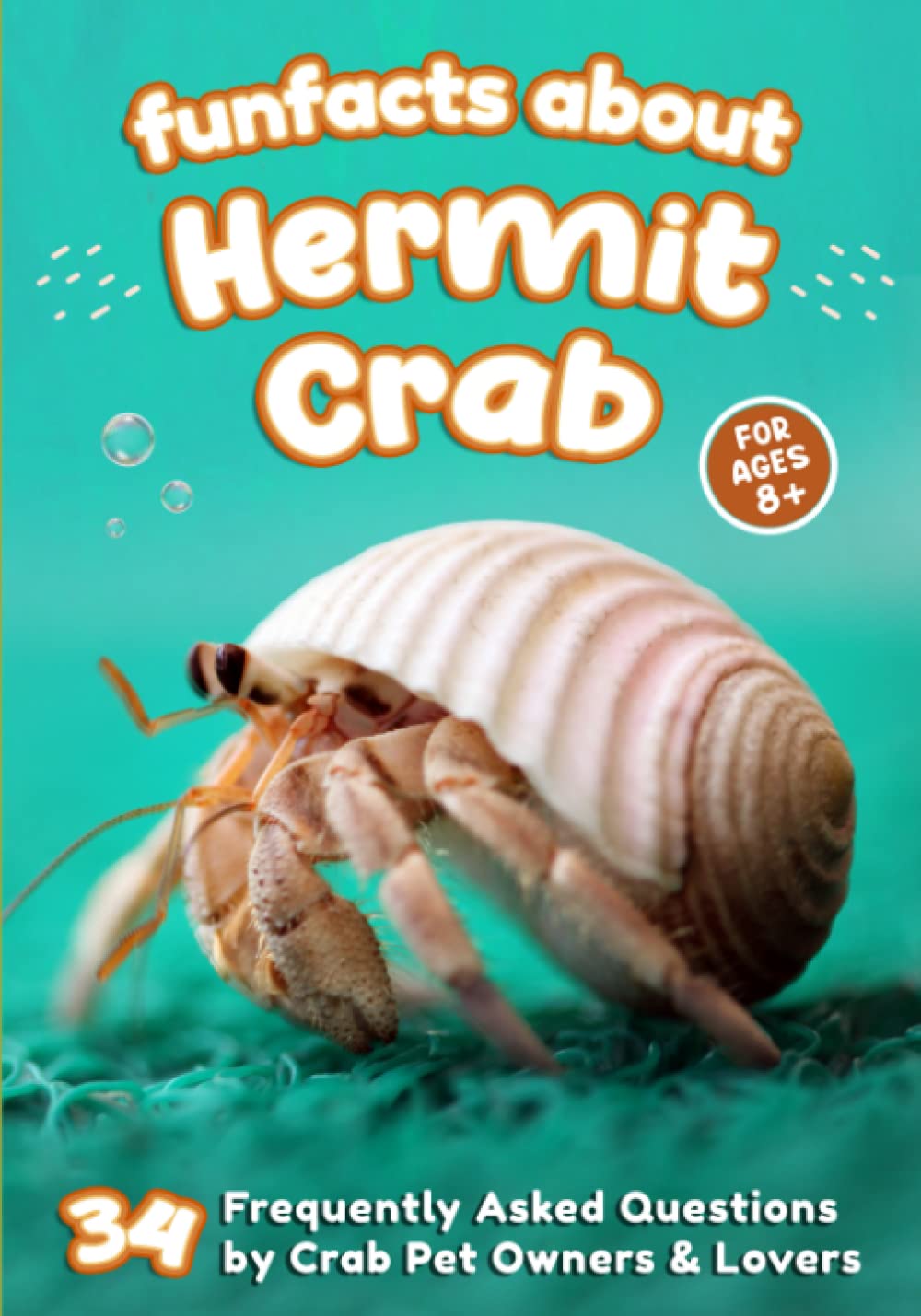 Fun Facts About Hermit Crab: 34 Frequently Asked Questions by Crab Pet Owners & Lovers - Short Picture Book for Kids (The World of Rare Pets) - 7525