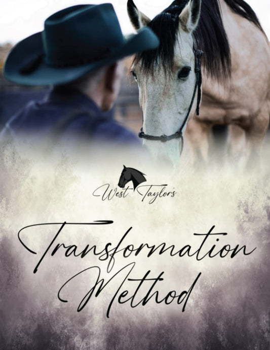 West Taylor’s Transformation Method: A Scientific Method To Release Fear And Insecurities - 3870