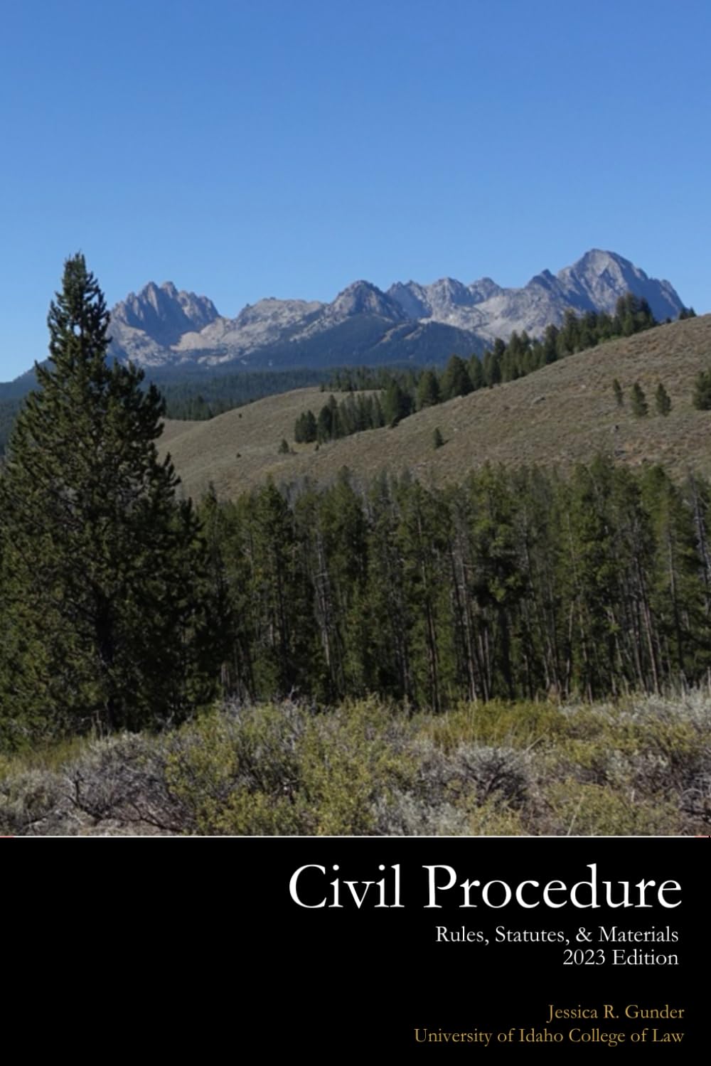 Civil Procedure Rules, Statutes, & Materials - 1442