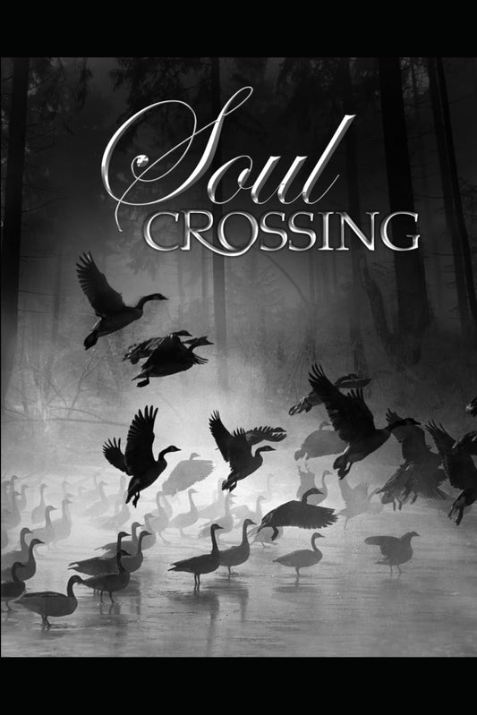 Soul Crossing: The Journey Home