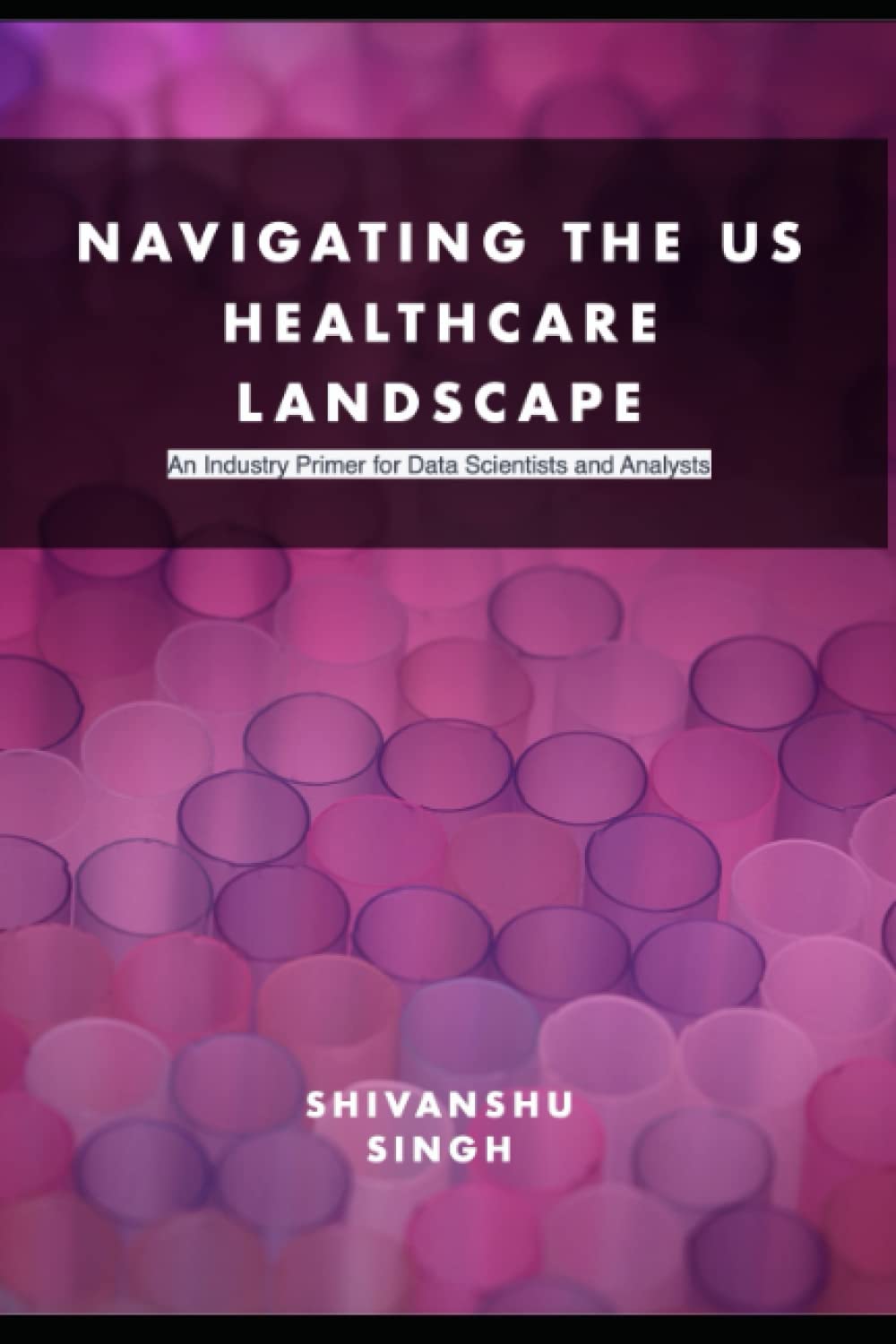 Navigating the US Healthcare Landscape: An Industry Primer to Data Scientists and Analysts