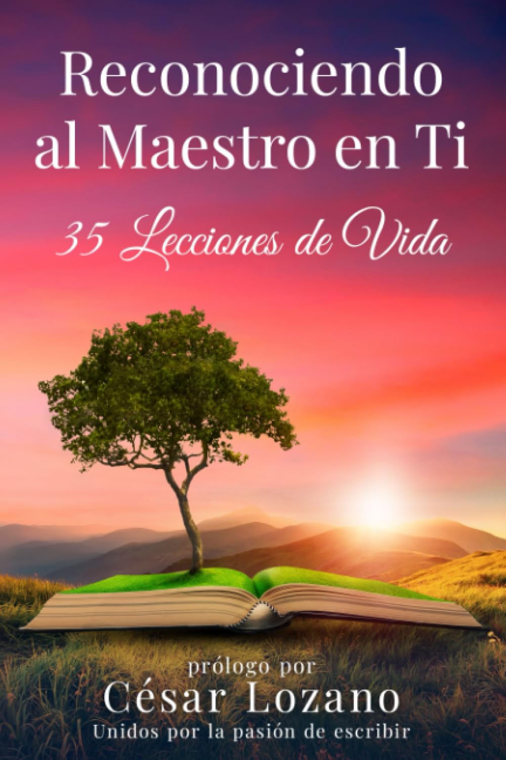 Reconociendo al Maestro en Ti: 35 Lecciones de Vida (Spanish Edition)