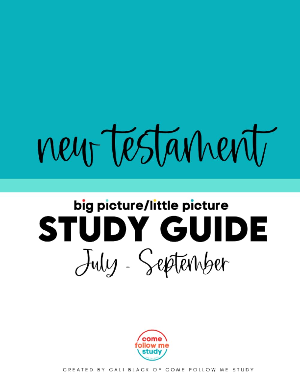 Study Guide for New Testament: Big Picture/Little Picture July-Sept: Helping busy Latter-day Saints learn the context for Come Follow Me readings - 5388
