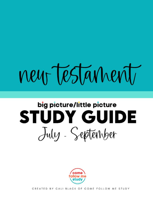 Study Guide for New Testament: Big Picture/Little Picture July-Sept: Helping busy Latter-day Saints learn the context for Come Follow Me readings - 5388