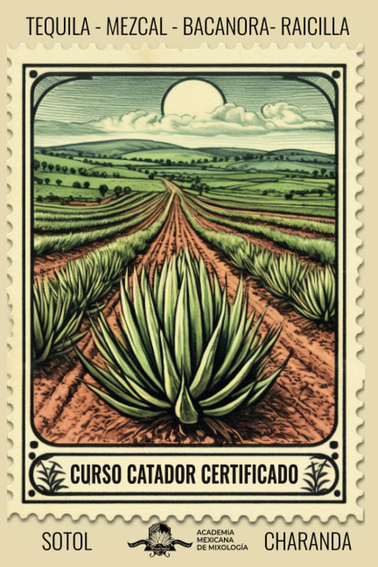 Curso Catador Certificado de Tequila, Mezcal, Raicilla, Bacanora, Sotol y Charanda: bajo el EC1456 cata de destilados mexicanos con denominación de origen (Spanish Edition)