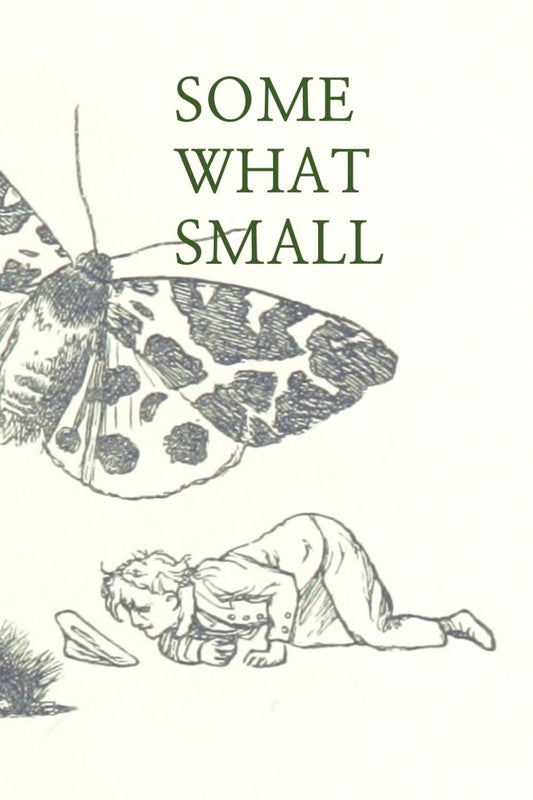 Somewhat Small