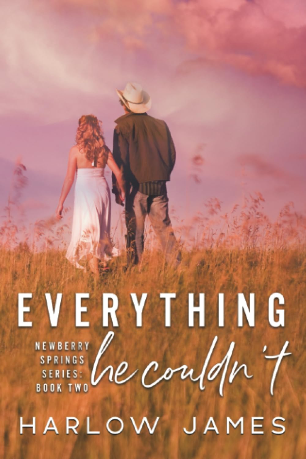 Everything He Couldn't: Newberry Springs Series Book 2 - 8429