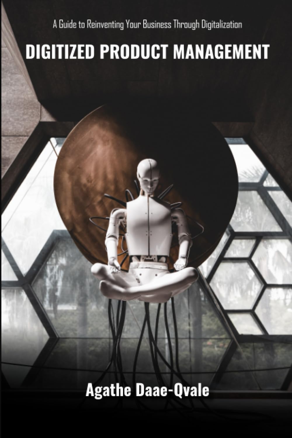 Digitized Product Management: A Guide to Reinventing Your Business Through Digitalization - 1003