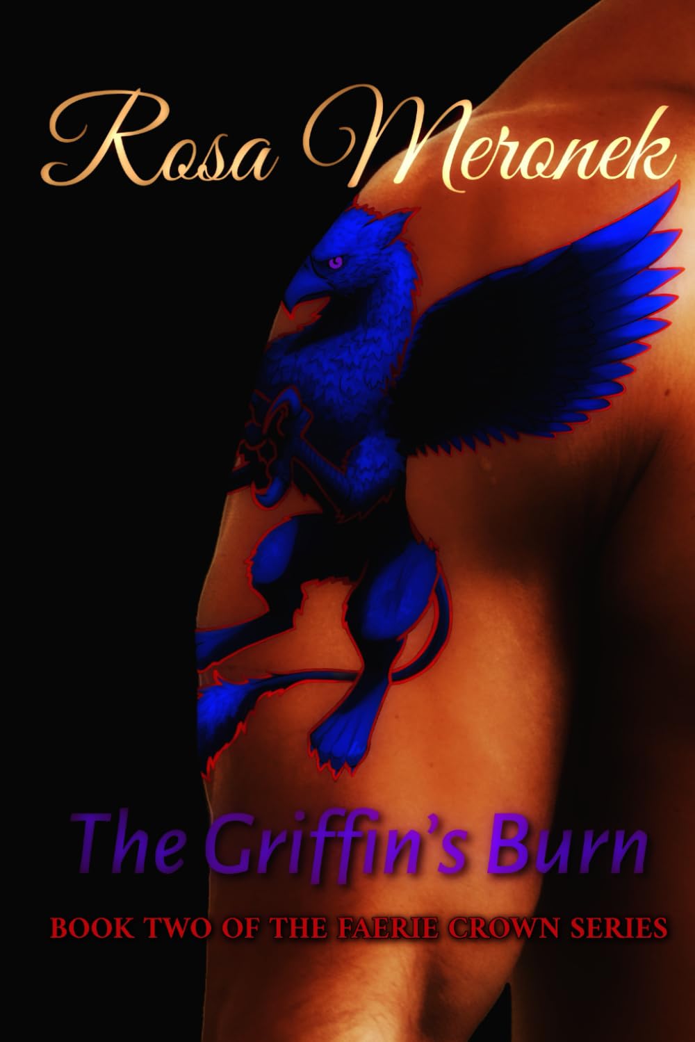 The Griffin's Burn: Book Two of The Faerie Crown Series - 9318