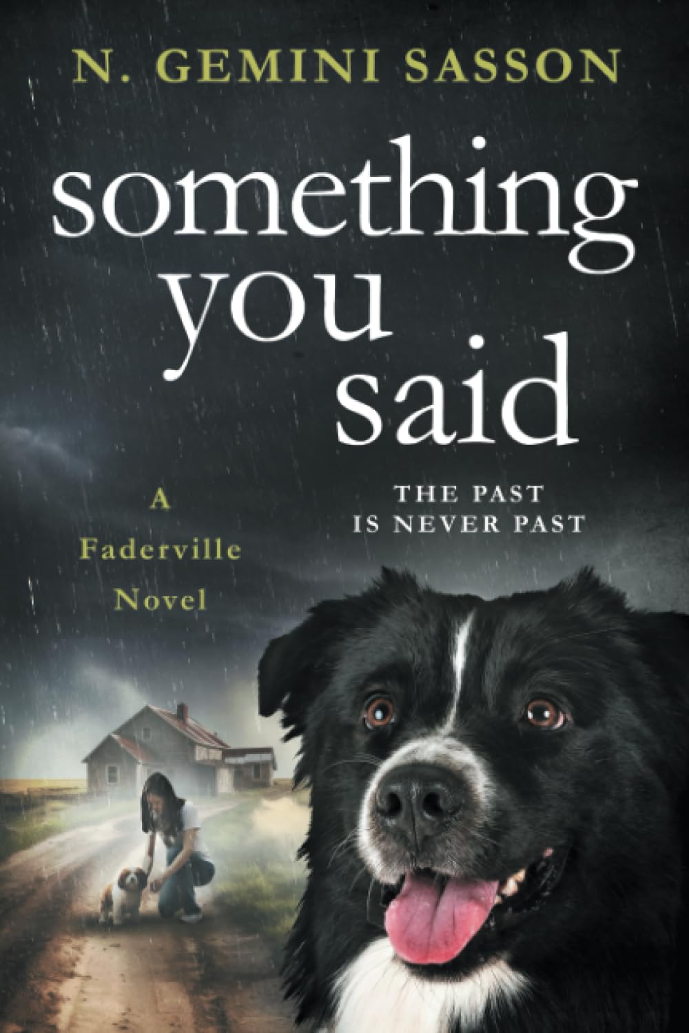 Something You Said (The Faderville Novels)