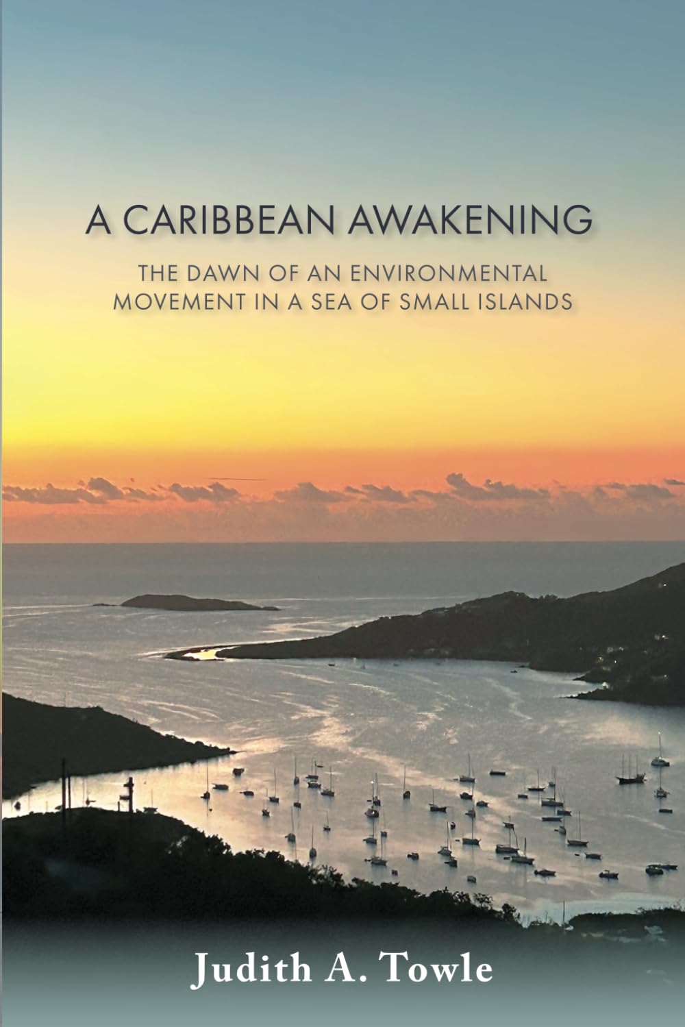 A Caribbean Awakening: The Dawn of an Environmental Movement in a Sea of Small Islands