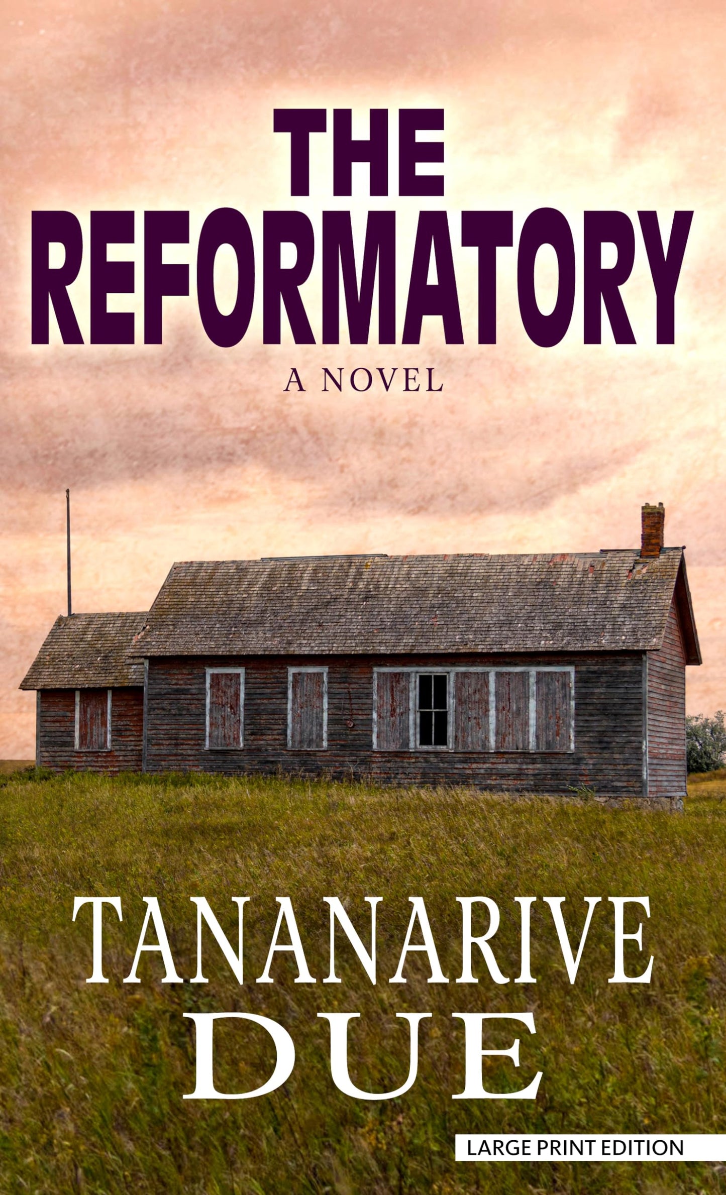 The Reformatory: A Novel (High Octane: Thorndike Press; Large Print)