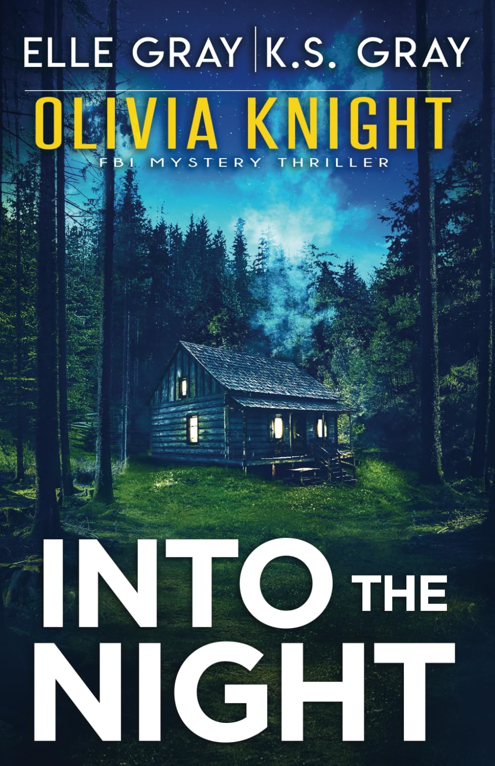 Into the Night (Olivia Knight FBI Mystery Thriller)