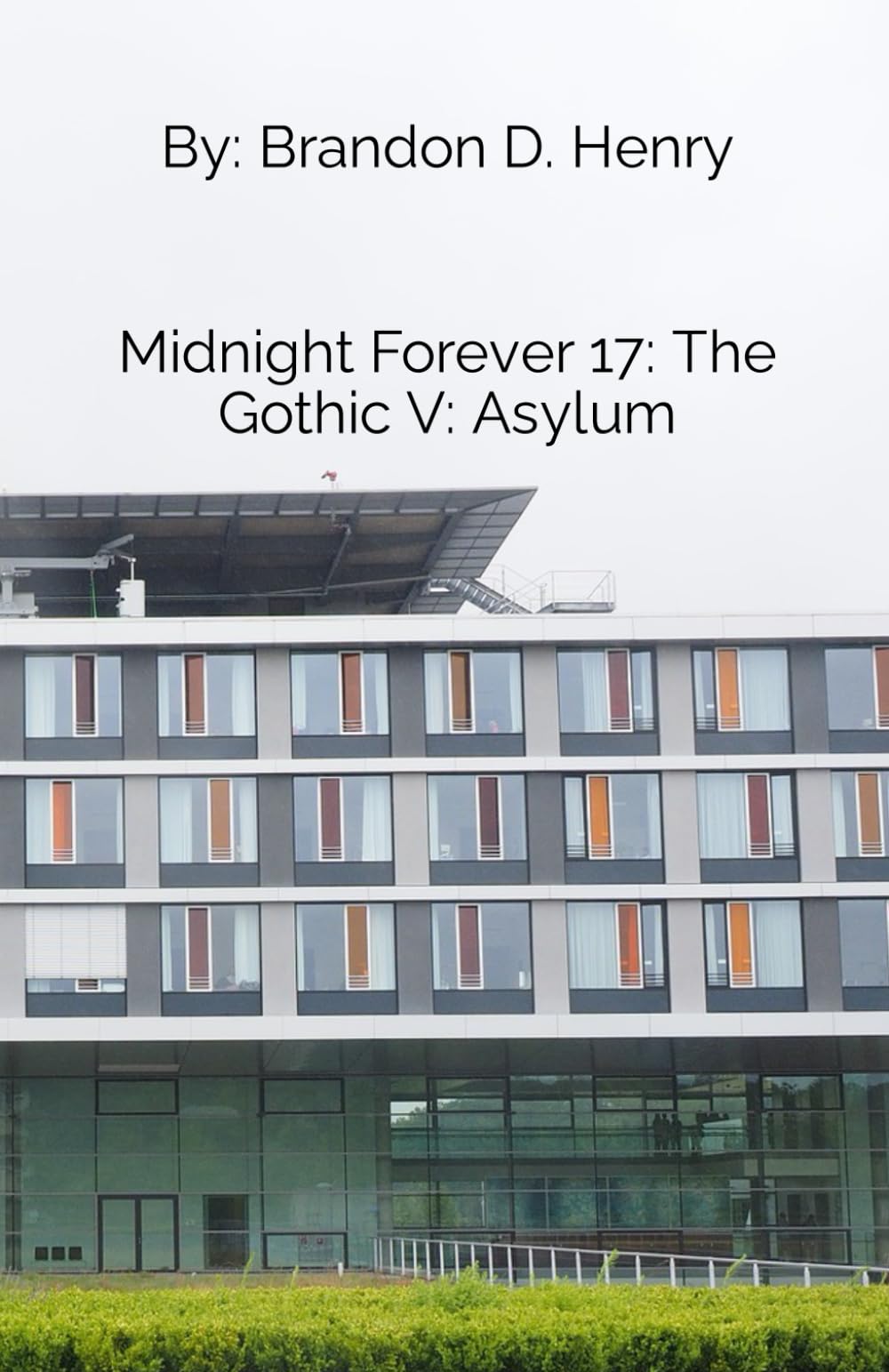 Midnight Forever 17: The Gothic V: Asylum