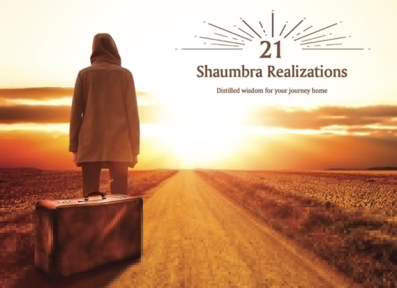 21 Shaumbra Realizations: Distilled wisdom for your journey home - 8069