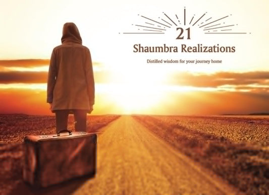 21 Shaumbra Realizations: Distilled wisdom for your journey home - 8069
