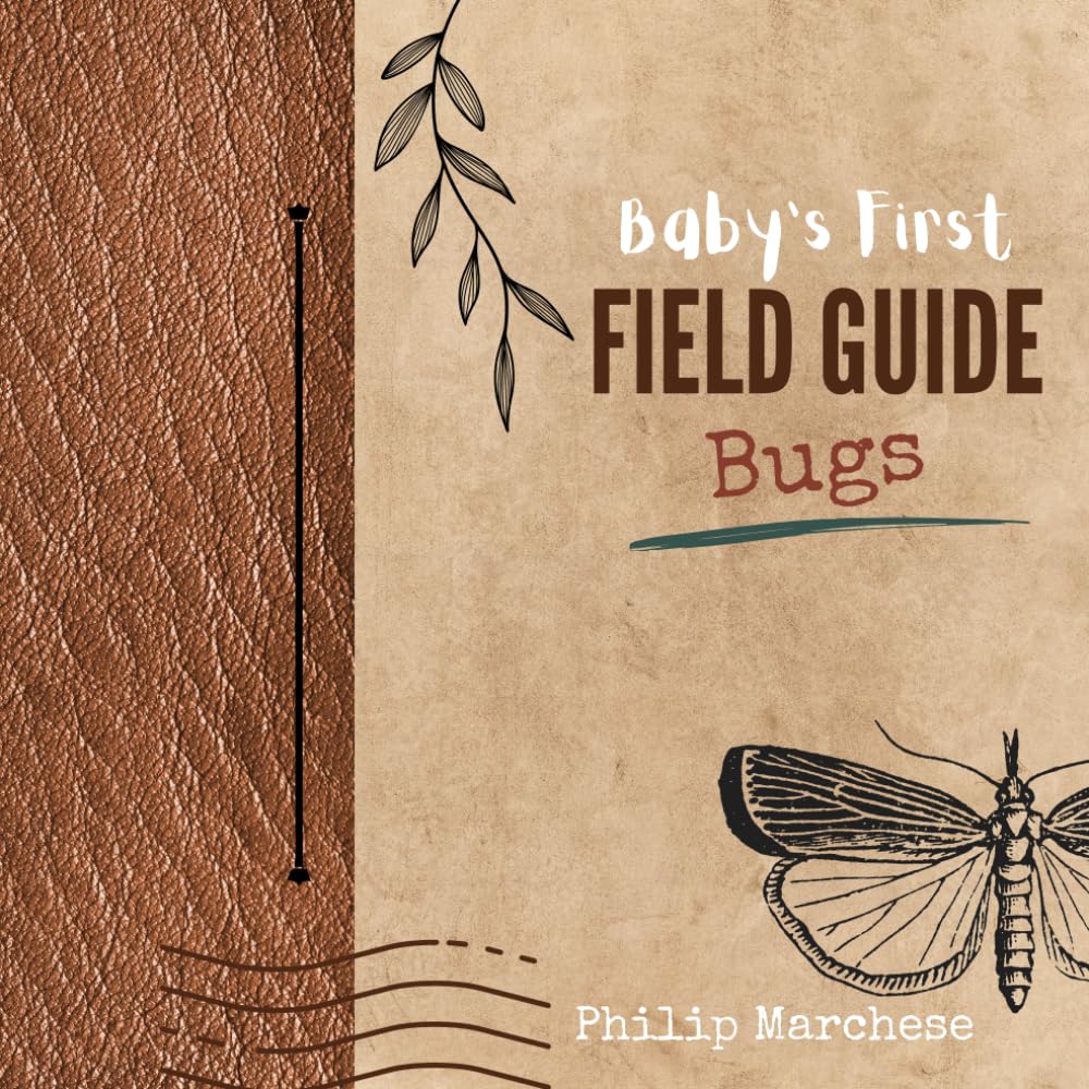 Baby's First Field Guide: Bugs - 4384