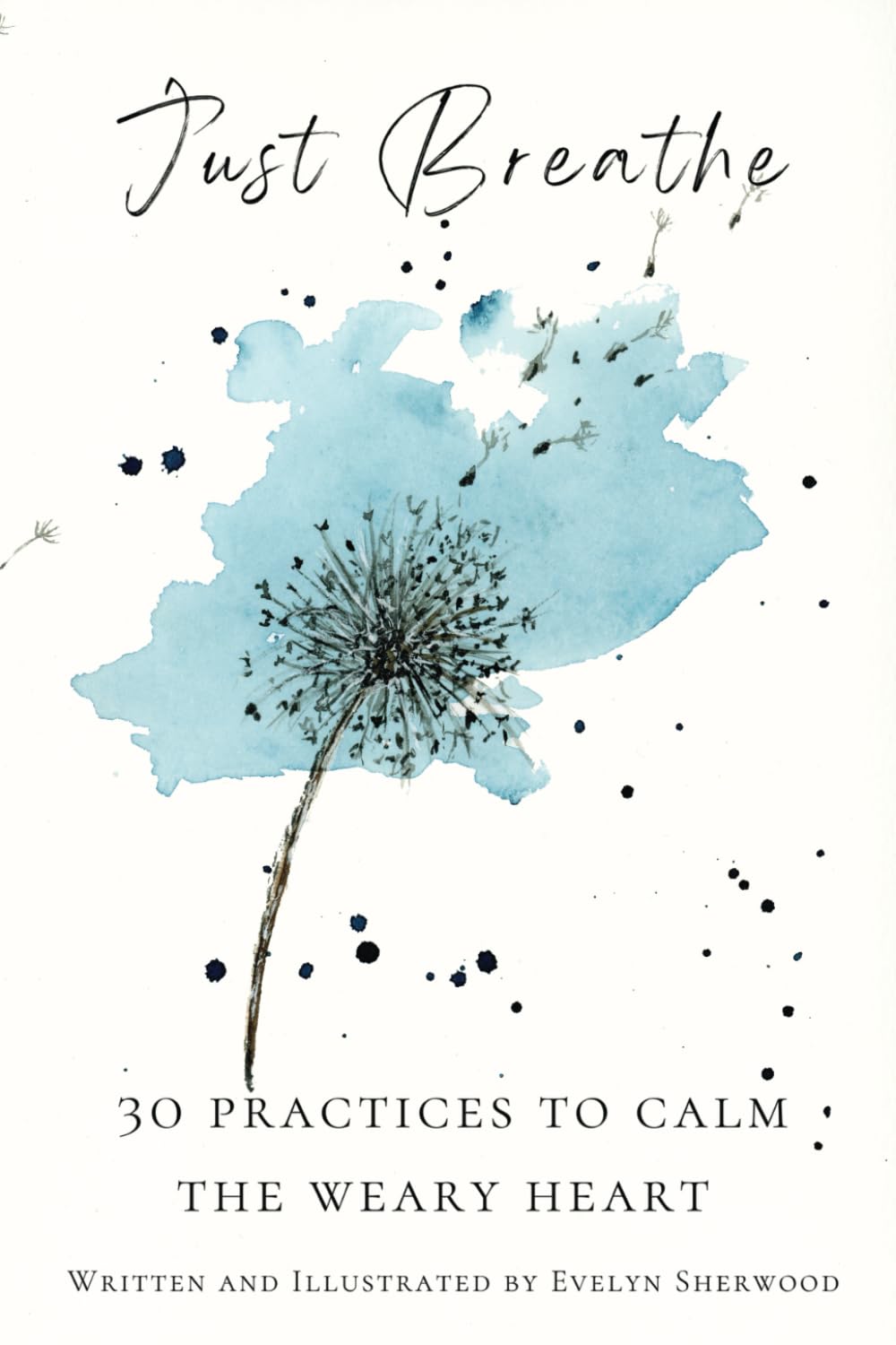 Just Breathe: 30 Practices To Calm The Weary Heart (Pocket Full of Hope)