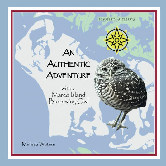 An Authentic Adventure with a Marco Island Burrowing Owl