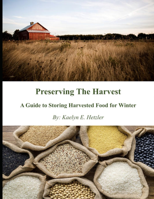 Preserving The Harvest: A Guide to Storing Harvested Food for Winter