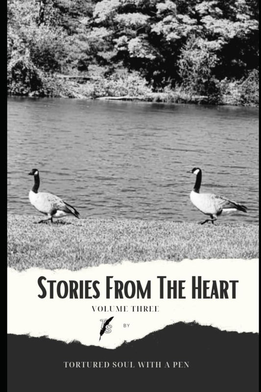 Stories From The Heart: Volume 3 - 2343