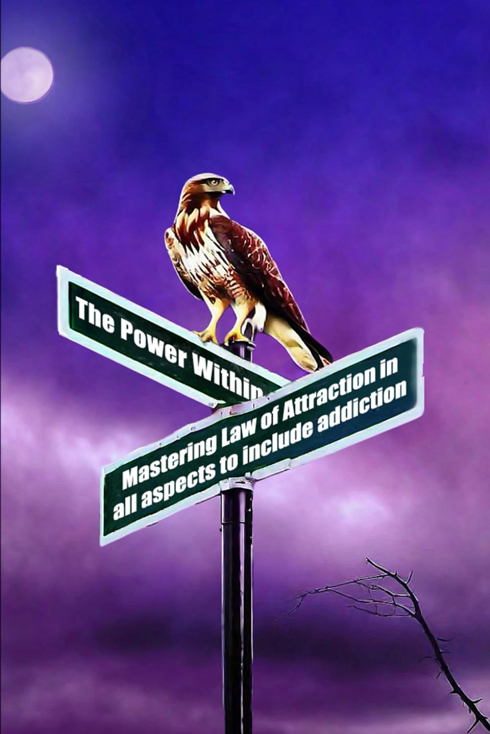 The Power Within: Mastering the Law of Attraction in all Aspects, to include Addiction