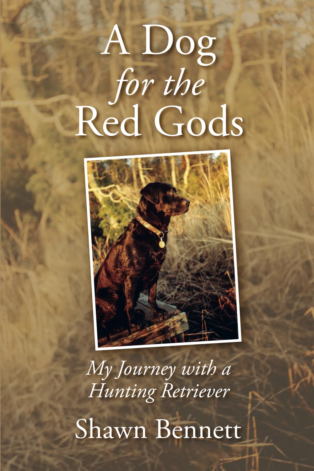 A Dog for the Red Gods: My Journey with a Hunting Retriever