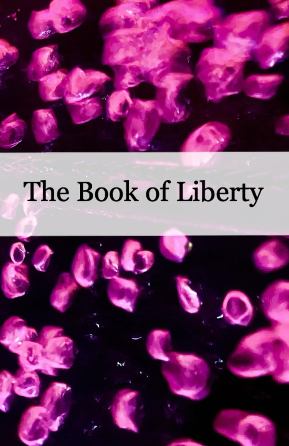 The Book of Liberty
