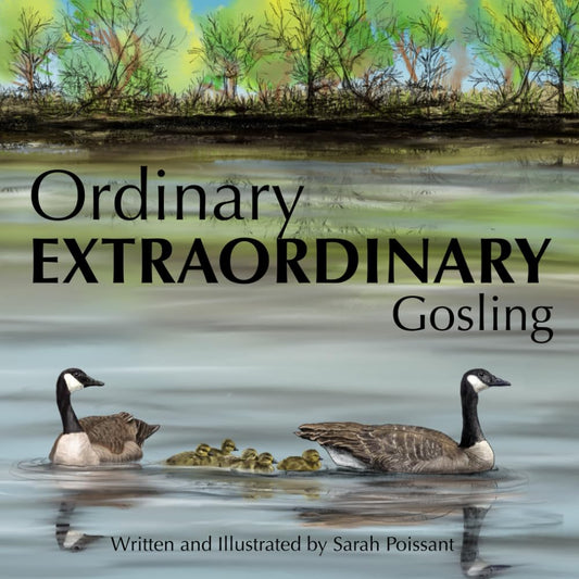 Ordinary Extraordinary Gosling (Ordinary Life Extraordinary Truth) - 3991