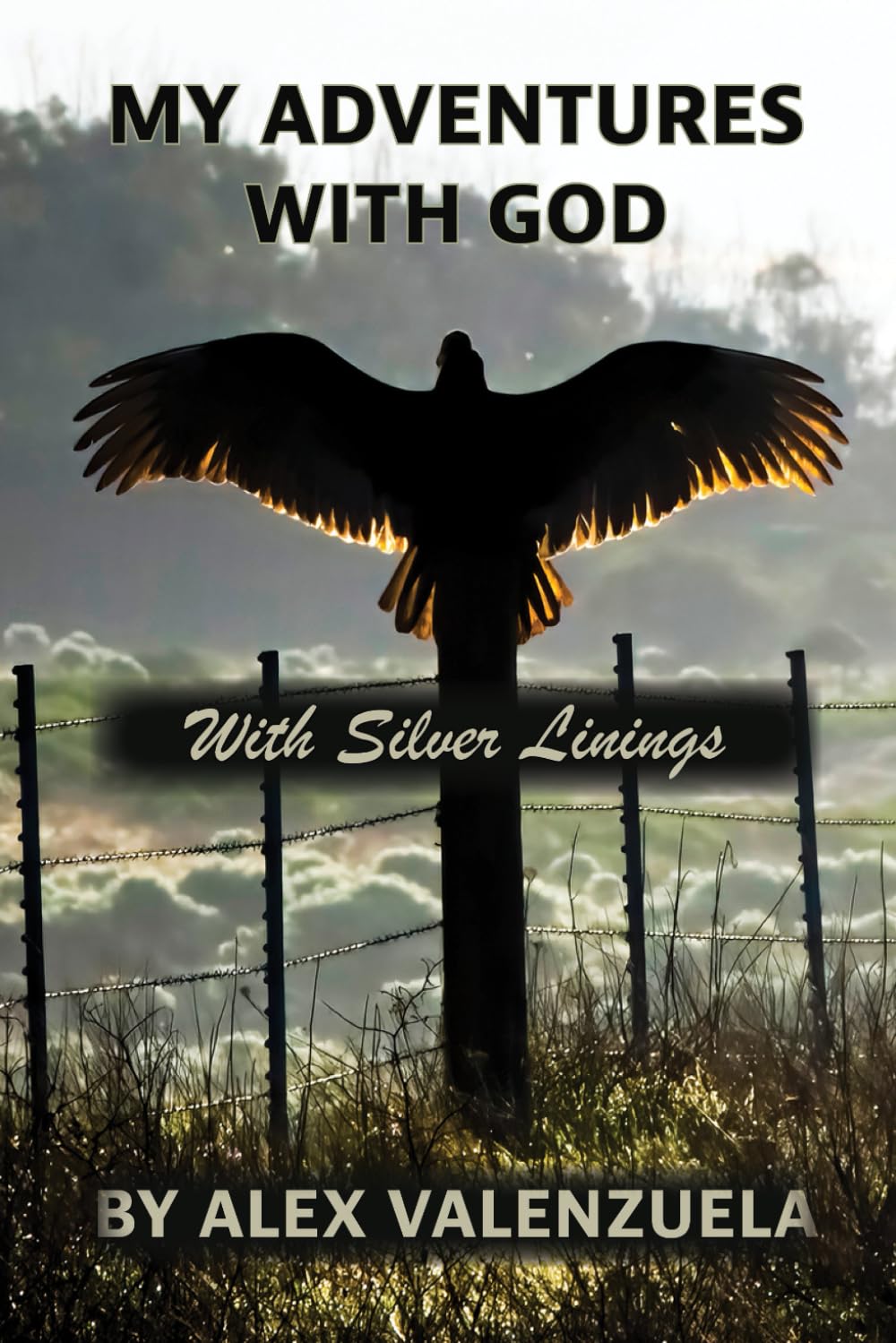 My Adventures With God: With Silver Linings - 8751
