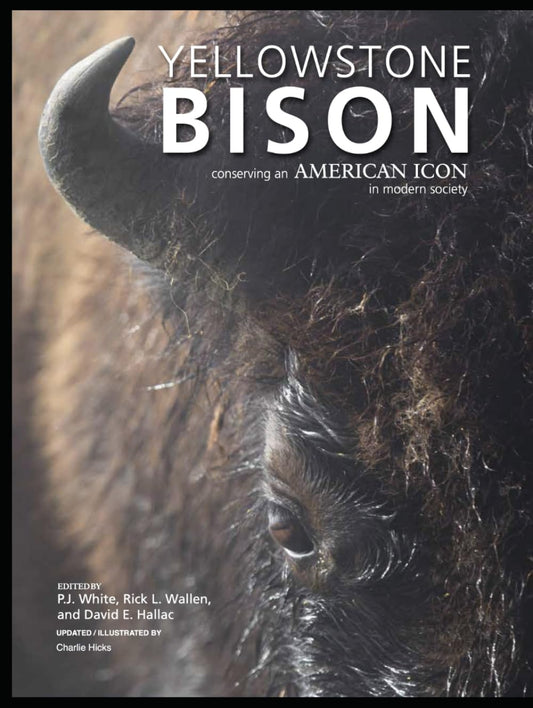 YELLOWSTONE BISON (Illustrated): Conserving an American Icon in Modern Society