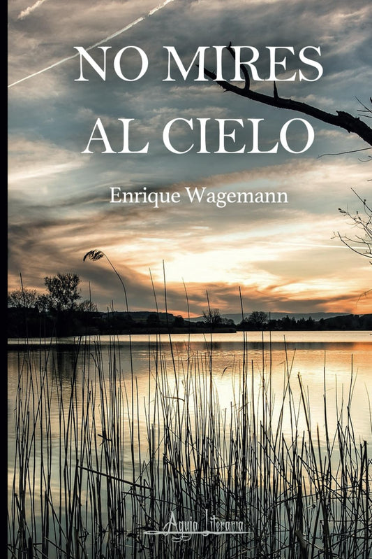 No mires al cielo (Spanish Edition)