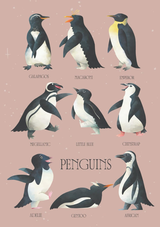 Brilliant Animals of Every Color: Penguins - 3180