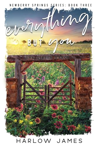 Everything But You Special Edition Paperback: Newberry Springs Book 3 (Newberry Springs Special Edition Paperbacks) - 95