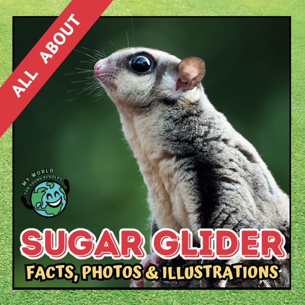 All about Sugar Glider | Facts, Photos and Illustrations: A Picture Book for Kids and Toddlers | Screen-Free Infotainment (MY WORLD for YOUNG READERS) - 8920