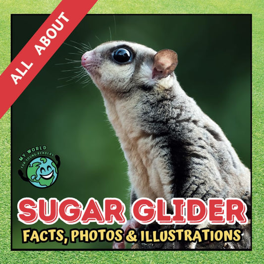 All about Sugar Glider | Facts, Photos and Illustrations: A Picture Book for Kids and Toddlers | Screen-Free Infotainment (MY WORLD for YOUNG READERS) - 8920