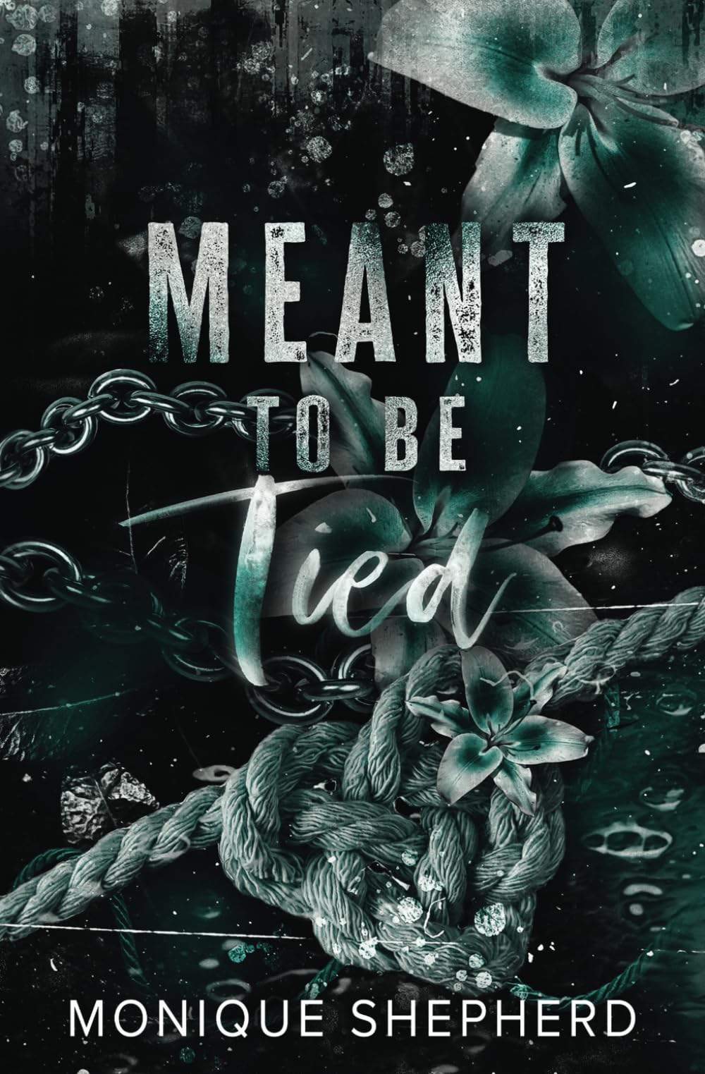 Meant to be Tied (Meant To Be Series)