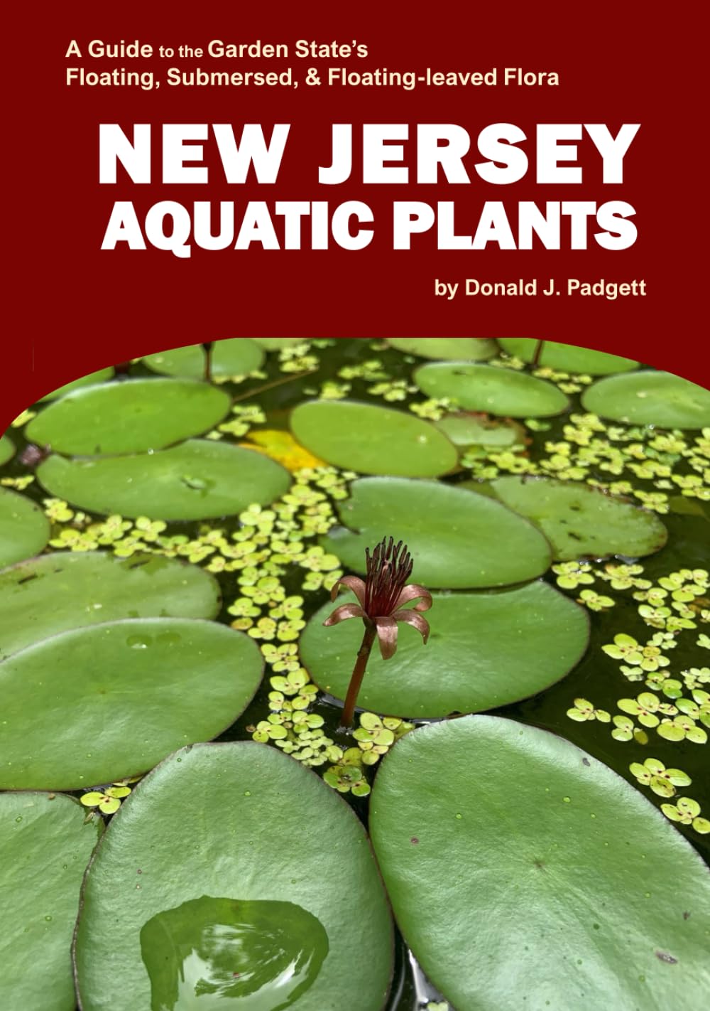 New Jersey Aquatic Plants: A Guide to the Garden State’s Floating, Submersed & Floating-leaved Flora