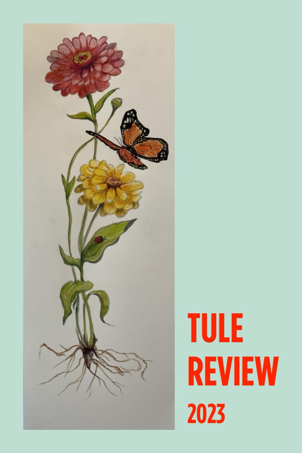 Tule Review 2023