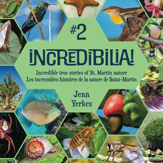 Incredibilia! #2: Incredible true stories of St. Martin nature