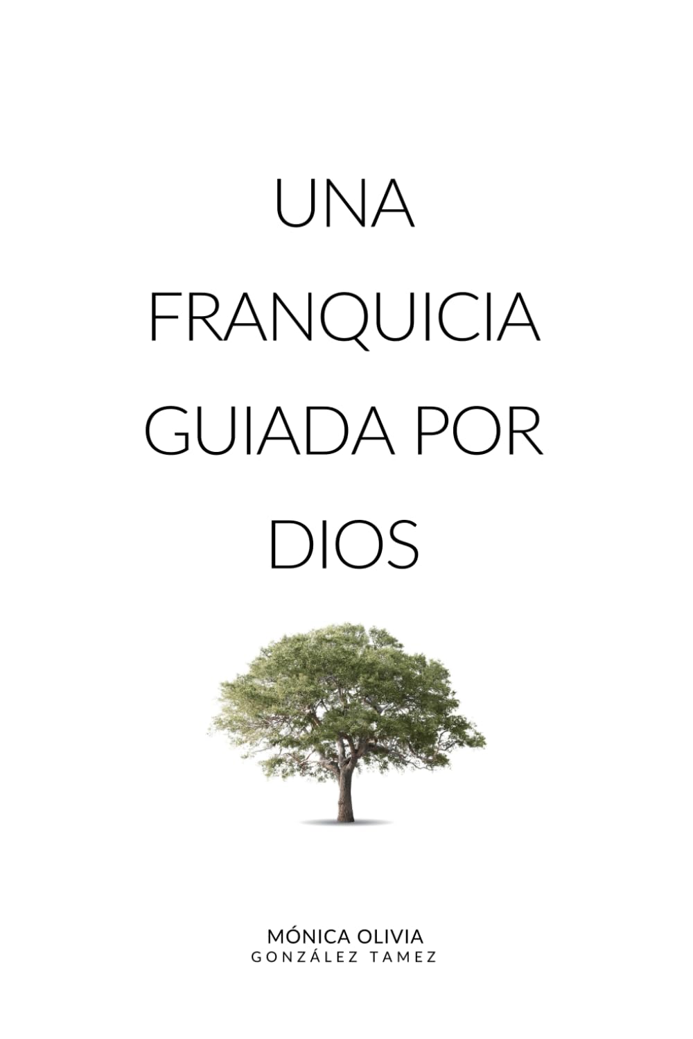 Una Franquicia Guiada por Dios: Lleva tu Negocio a otro Nivel (Spanish Edition)