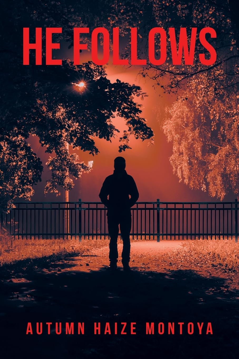 He Follows (AHM Novels)