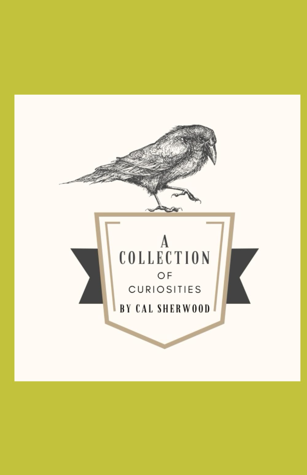 A Collection of Curiosities - 3694