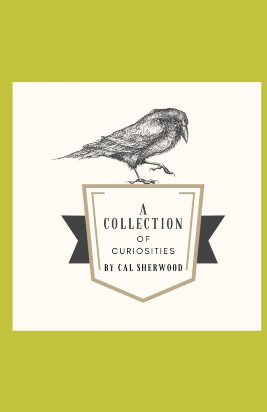 A Collection of Curiosities - 3694