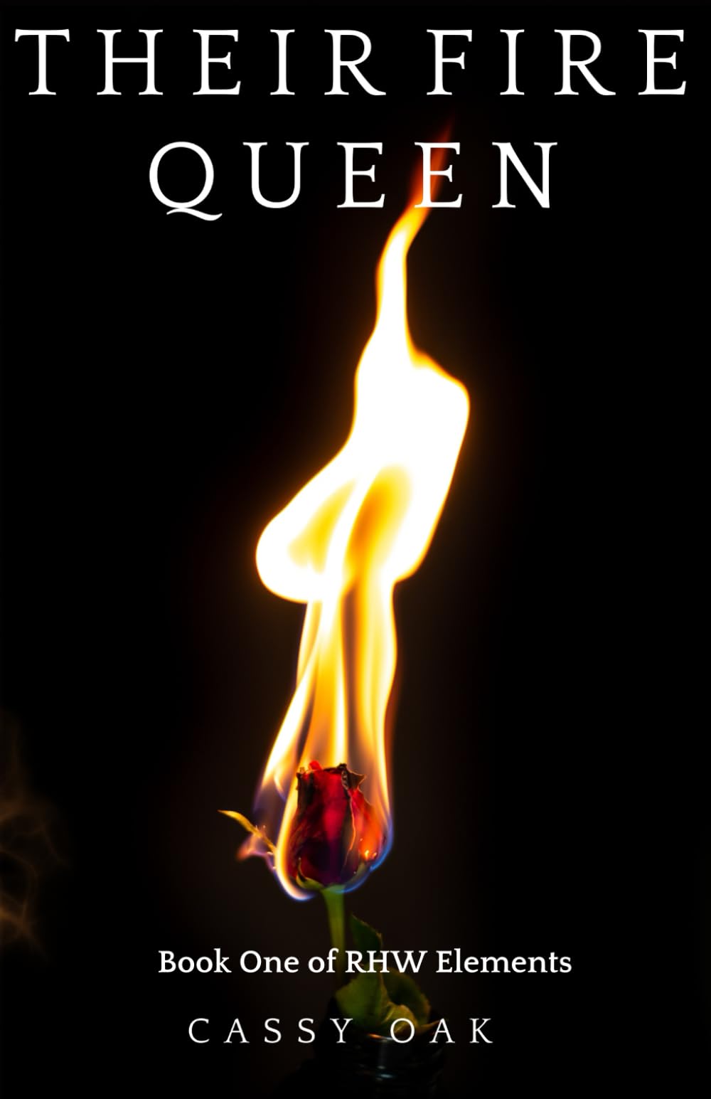 Their Fire Queen - 2355